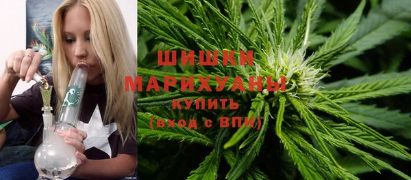 PSILOCYBIN Медвежьегорск