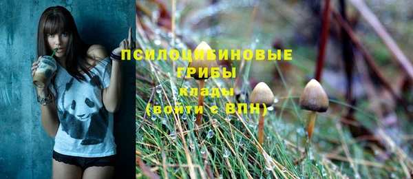 таблы Михайловск