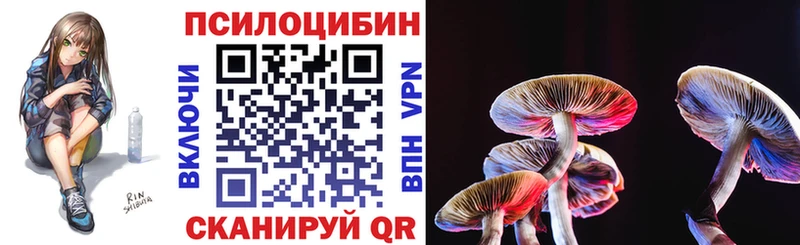 Галлюциногенные грибы Psilocybe  купить наркоту  Грайворон 